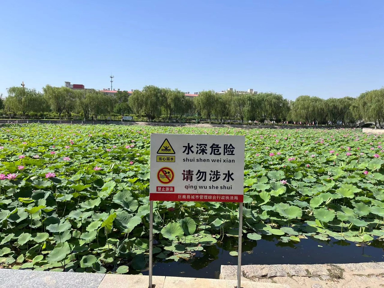 微信图片_20240628104113.jpg