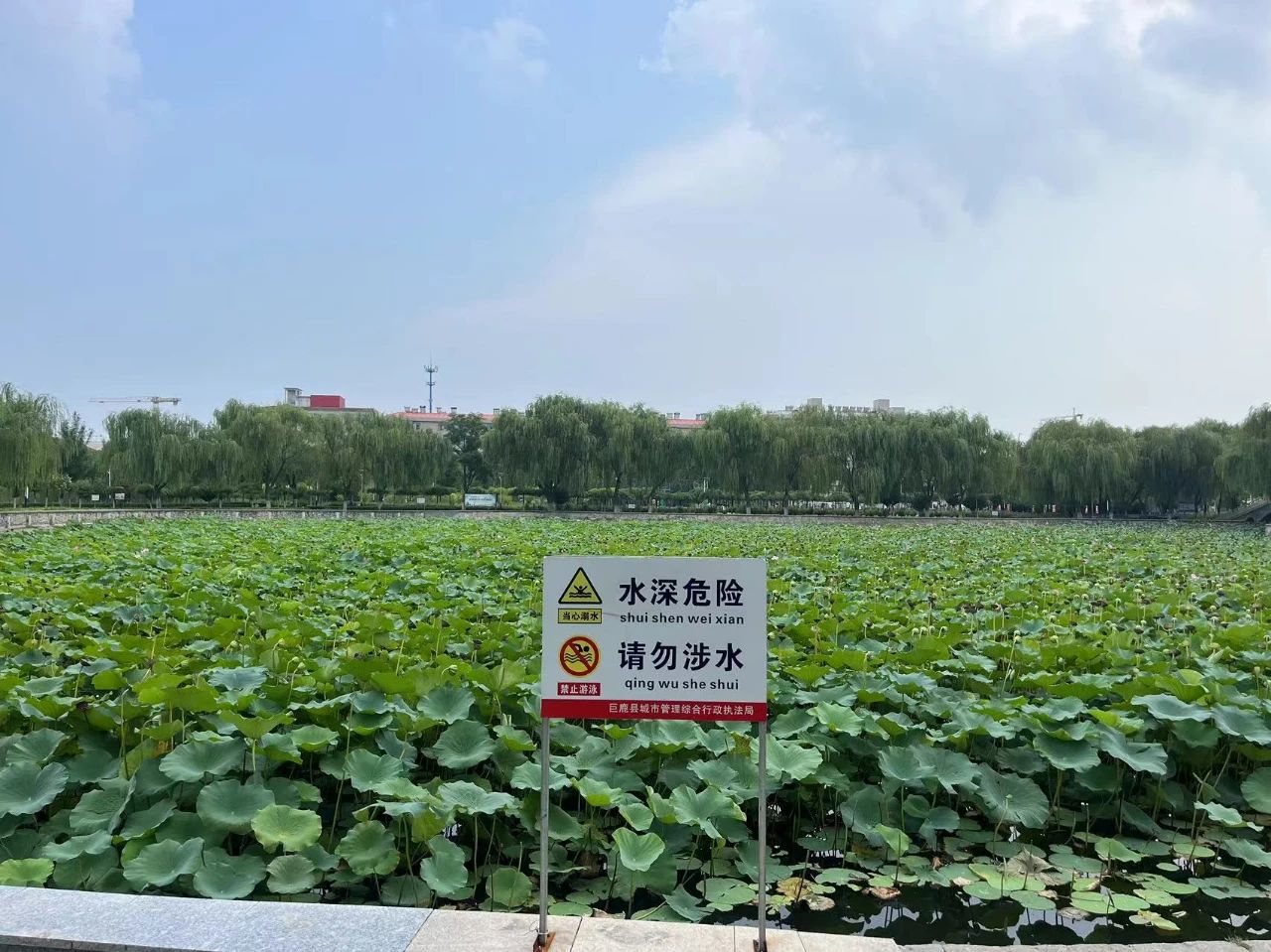 微信图片_20240808093434.jpg