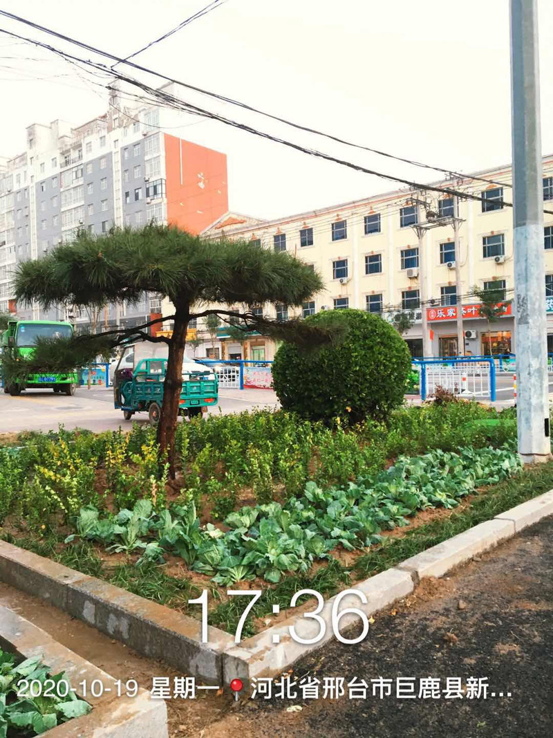 初见成效5.jpg