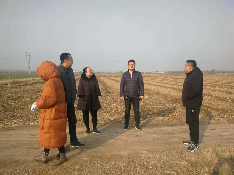 11-11.27市县农业局现场查看万元钱种植情况.jpg