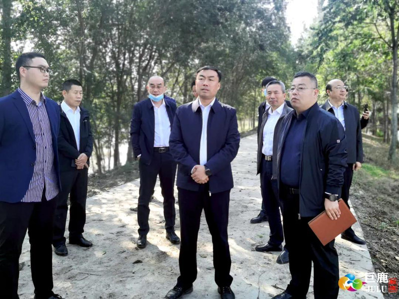 县委书记杨振东调研农业灾情和农田排涝情况 - 巨鹿县
