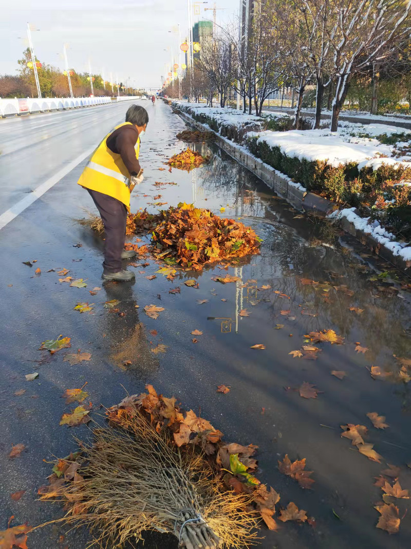 环卫清扫落叶4.jpg