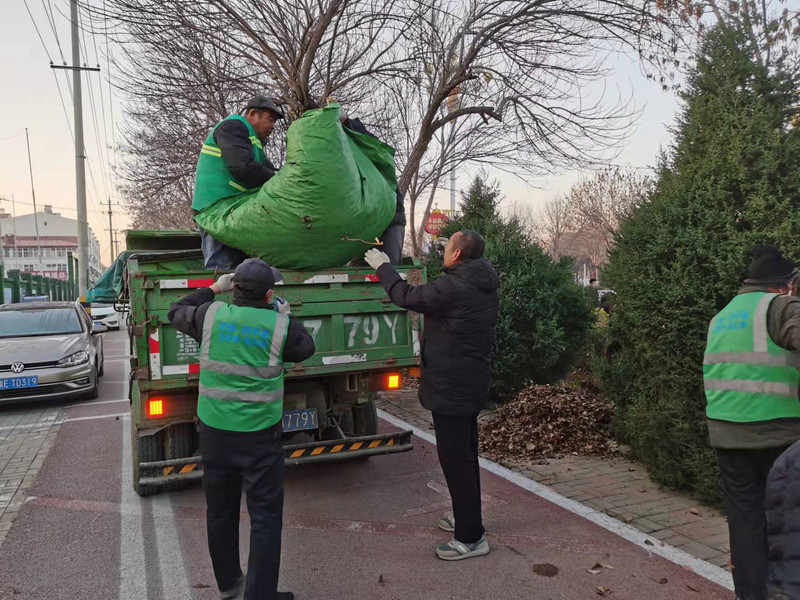 12.21新华街清运落叶.jpg