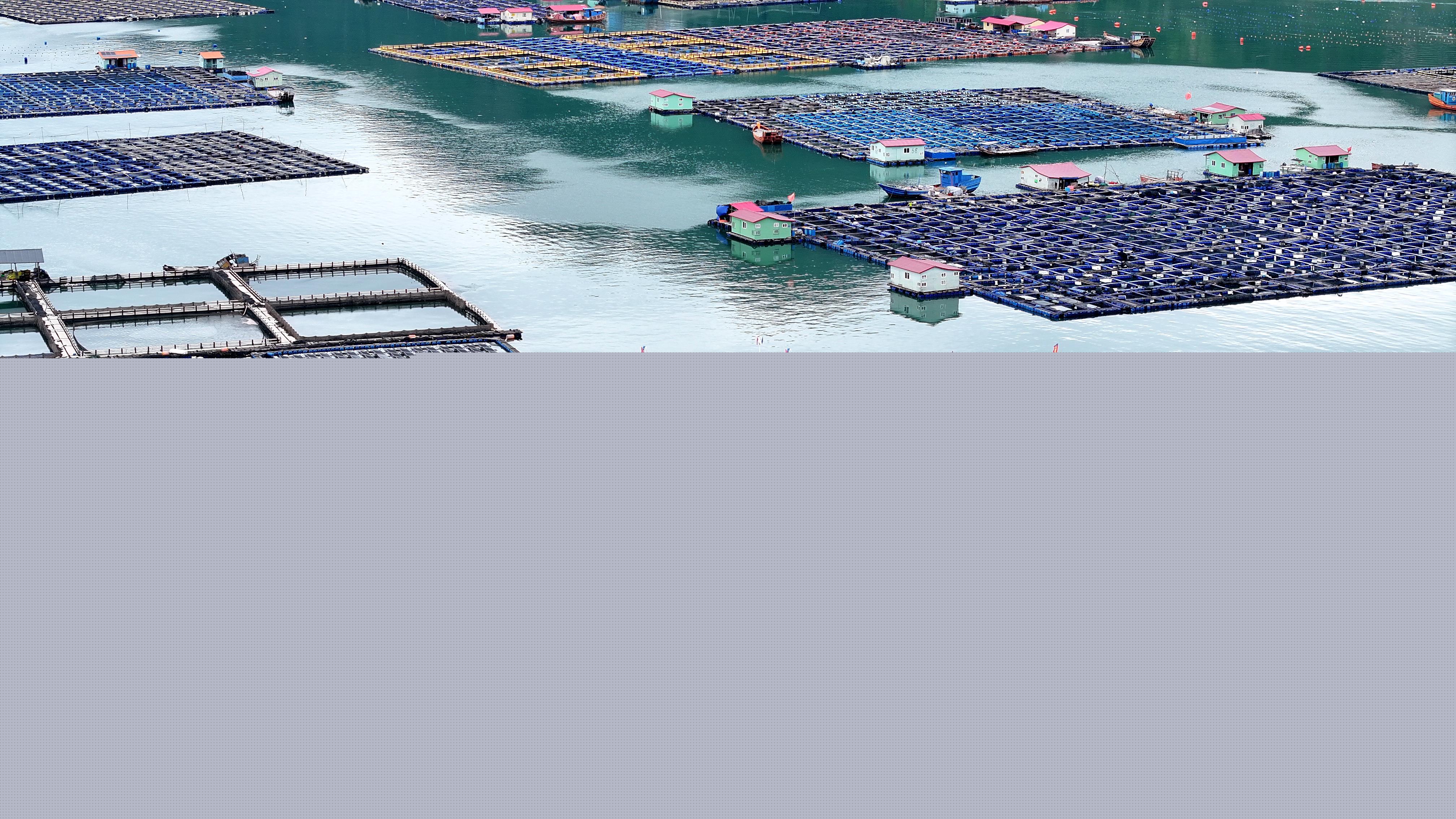 1729052179692031.jpg 20241015222843190.jpg