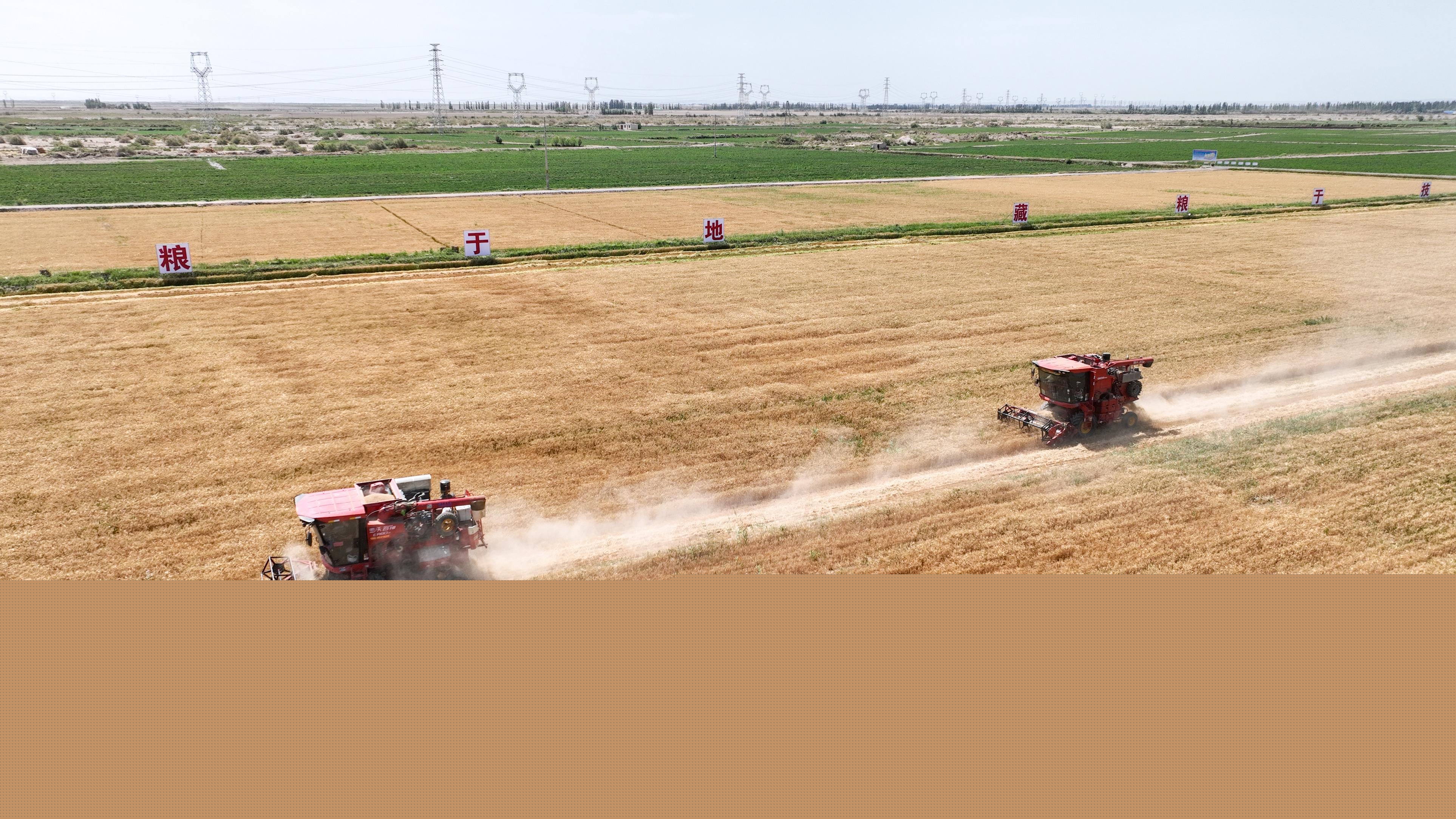 1729052171878245.jpg 20241015222843103.jpg