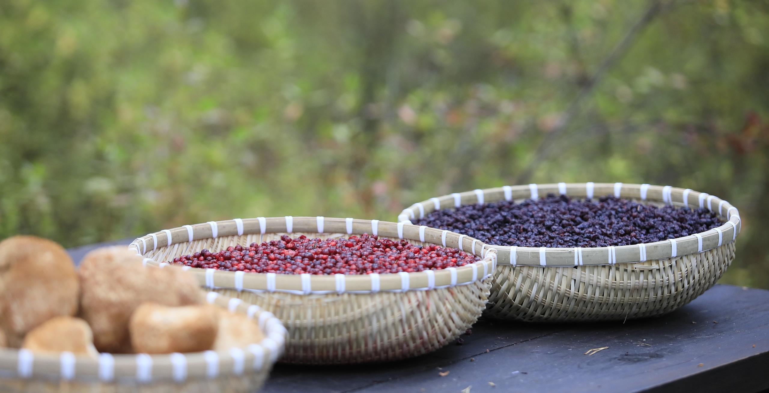 1729052193811795.jpg 20241015222843341.jpg