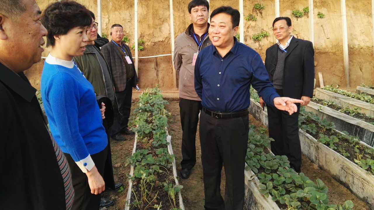 巨鹿县人大常委会主任薄东平,副主任吉存善,党组副书记高占刚,县政府