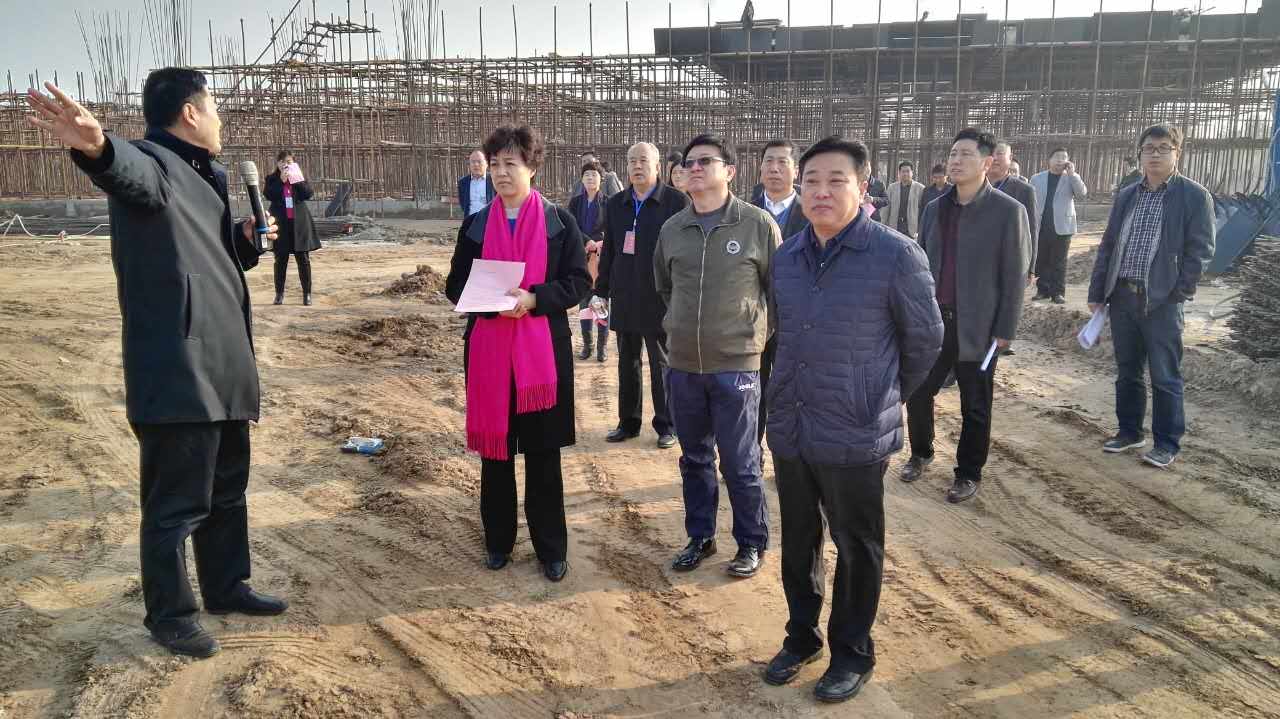 巨鹿县人大代表视察重点项目和扶贫工作