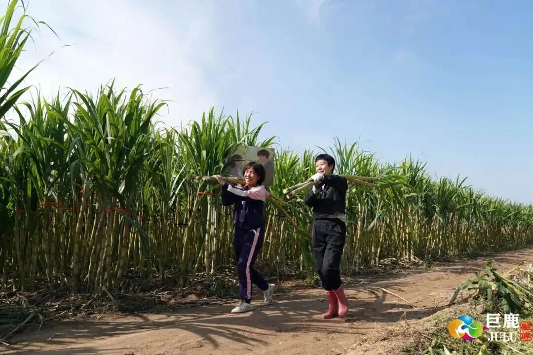 微信图片_2026-10-15_145238_048.jpg